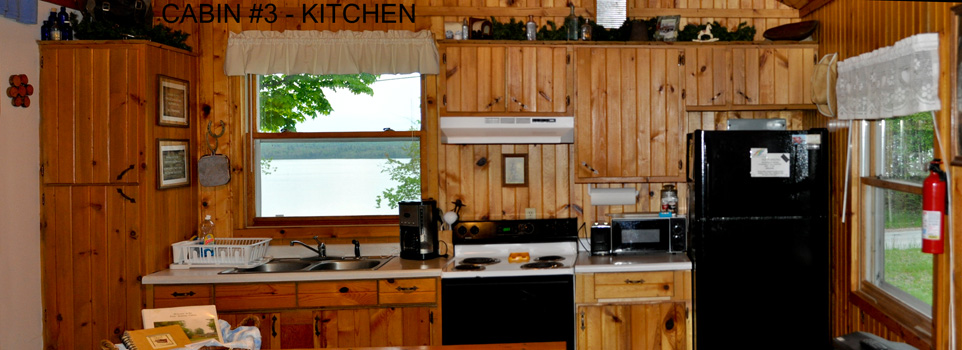 Cabin #3 Kitchen 3