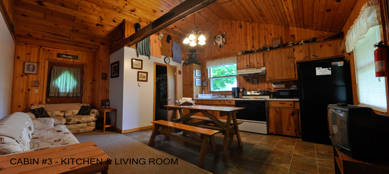 Cabin #3 Living Room Kitchen