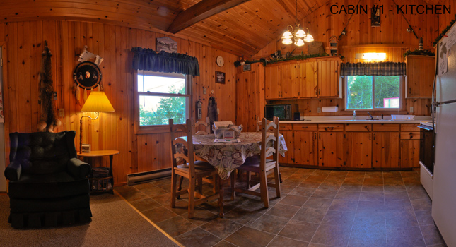 Cabin #1 Kitchen