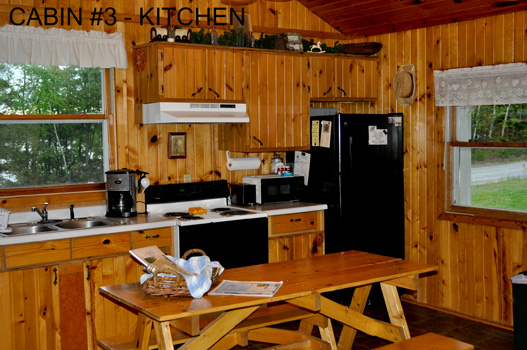 Cabin #3 Kitchen