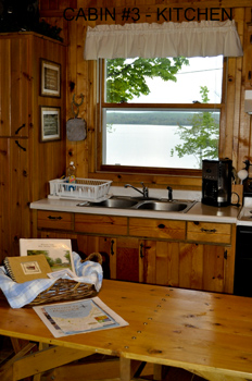 Cabin #3 Kitchen 2